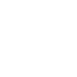 Palestra Gym Haus Seregno - Logo Bianco