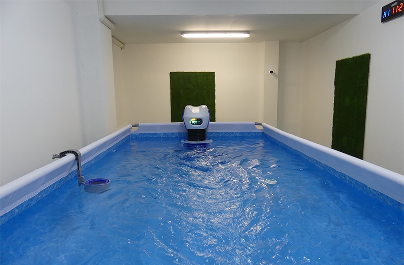 Nuoto e Allenamento Controcorrente - Palestra Gym Haus Seregno